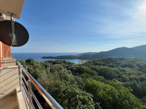 Panorama apartment